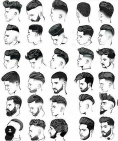 Mens Hairstyling Tips, Mens Hair Styling Tips, Hair Cuts Ideas For Men, Hair Types Men Chart, Hair Types Chart Texture Men, Thick Hair Styles For Men, Mens Haircut Diagram, Drawing Male Hair, Haircut Ideas For Men