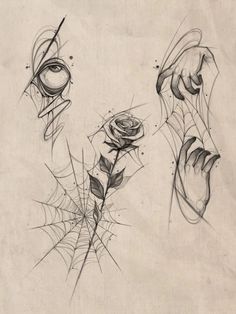 three drawings of different shapes and sizes with flowers in the middle one has a spider web on it