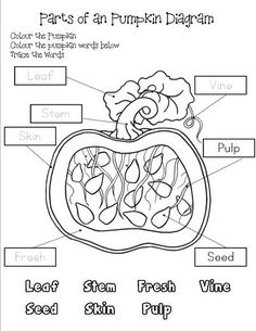 the parts of an pumpkin diagram for kids to color and practice their skills on halloween