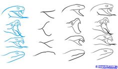 how to draw an animal's mouth step by step