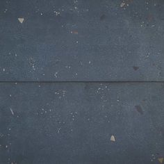 a black and white cat laying on the ground