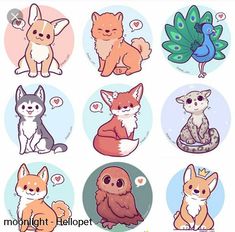 six different types of foxes and birds with speech bubbles in the middle one has a bird,