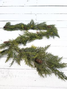 two pine cones and some evergreen needles on a white wooden surface