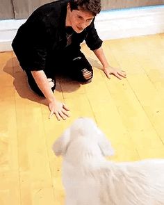 a man kneeling down next to a white dog on top of a hard wood floor