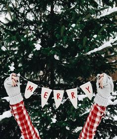 someone holding up a merry banner in front of a snow covered pine tree with the words merry written on it