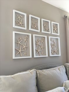 four framed starfishs are mounted on the wall above a couch in a living room