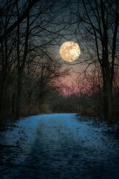 a full moon is seen over a snowy road in the distance, with bare trees and snow - covered ground