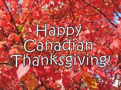 the words happy canadian thanksgiving are displayed in front of some red leaves on a tree