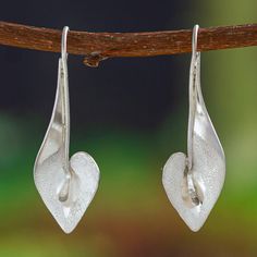 The graceful figure of the calla lilies inspires a sophisticated design crafted by Edna Manzano from Mexico. Combining textured and matte finishes, the artisan creates these sterling silver drop earrings with a unique design that enhances their luminous appearance, also associated with magnificent beauty. Calla Lilies, Sterling Silver Drop Earrings, Sophisticated Design, Silver Drop Earrings, Calla Lily, Design Crafts, Unique Design, Unique Designs, Lily