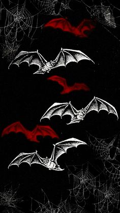 three bats are flying in the air over webs and spider webs on a black background