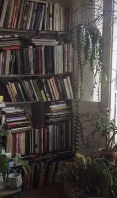 a bookshelf filled with lots of books next to a potted plant in front of a window