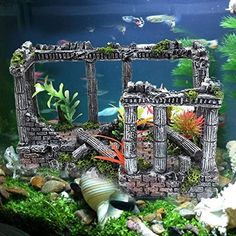 an aquarium filled with lots of different types of plants and fish in it's tank