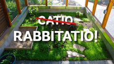 the words catio rabattato are in front of a small garden