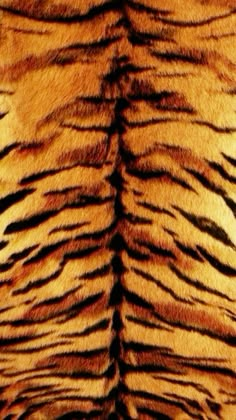 an animal fur pattern is shown in brown and black