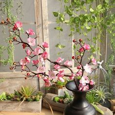 a vase filled with pink flowers sitting on top of a table next to other plants