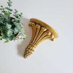 a plant in a pot next to a decorative gold shelf bracket on a white wall