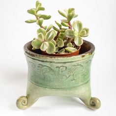 a small potted plant sitting on top of a table