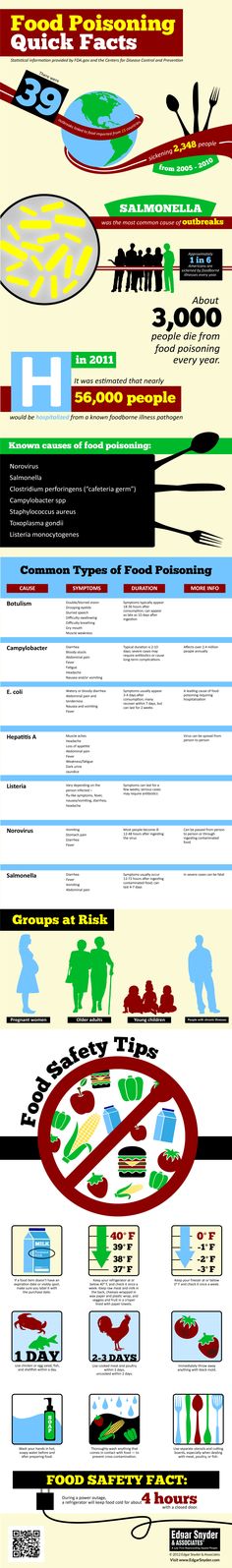 an info sheet showing different types of boats