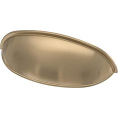 an oval brass plate on a white background