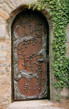 an old wooden door with vines growing on it