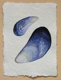 two blue seashells sitting on top of a piece of paper with watercolor paint