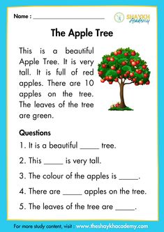 an apple tree worksheet for kids to learn how to read the words in english