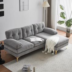 a gray couch sitting on top of a white rug in a living room next to a window