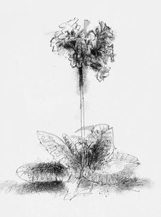 a black and white drawing of a flower in the middle of a vase with flowers on it