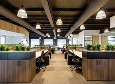 an open office with plants and desks in the center, along with hanging lights