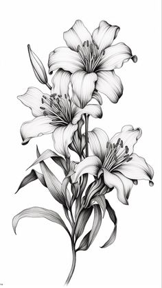 a drawing of some flowers on a white background