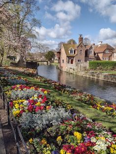 the flowers are blooming on the side of the river bank in front of houses