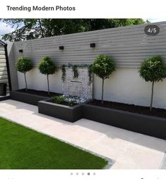 an image of a modern garden with trees and plants in the center, on instagram