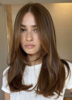 Honey Brown Hair, Brown Hair Looks, Brown Hair Inspo, Hairstyles For Layered Hair, Haircuts Straight Hair, Hair Inspo Color