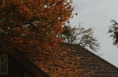 a bird sitting on top of a roof next to a tree with leaves falling from it