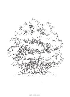 a black and white drawing of a tree