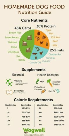 an info sheet with different types of food