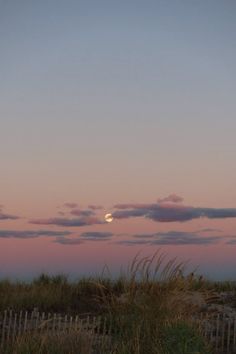 the moon is setting over the beach grass