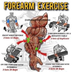 forearm exercise Workout Knowledge, Weights Exercises, Forearm Workouts, Best Forearm Exercises, At Home Workout Routine, Forearm Exercises, Home Workout Ideas, Arm Day Workout, Gym Workout Apps