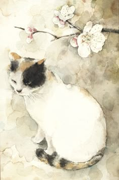 a watercolor painting of a cat sitting in front of a branch with flowers on it