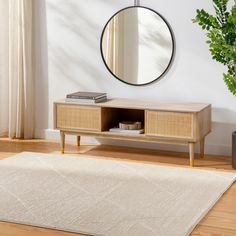 a living room with a rug, mirror and potted plant on the side table