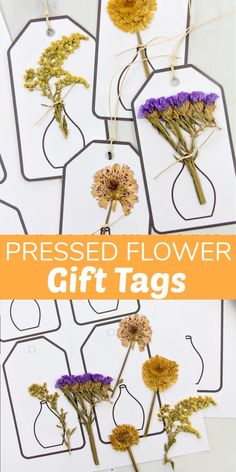 pressed flower gift tags with dried flowers on them and the words pressed flower gifts below