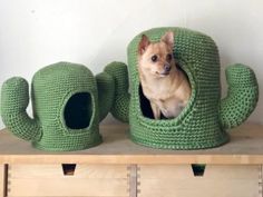 a small dog sitting in a crocheted cactus shaped pet bed on top of a wooden shelf