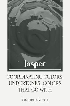 Jasper SW 6216 by Sherwin Williams | Coordinating Colors, Undertones and Colors That Go With Sherwin Williams Coordinating Colors, Urbane Bronze, Modern And Traditional Decor, Accent Walls In Living Room, Paint Color Palettes, Cool Undertones, Studio Blue, Trim Color, Coordinating Colors