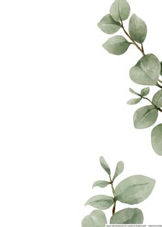 a branch with green leaves is shown against a white background and the bottom half has an empty space for text