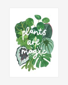 plants are magic written in watercolor on a white background with green leaves and foliage