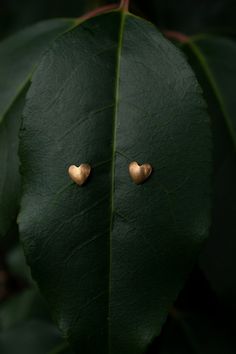 Little golden solid brass (not plated) curved hearts on solid sterling silver posts with sterling silver backs. These little studs are lightweight and easy to wear earrings. I added a patina to add an antique feel. Be sure to check out my other studs and my heart ring and necklace, match! ✦ C A R E - I N S T R U C T I O N S ✦ Each creation is lovingly hand crafted with meticulous attention to detail, aesthetic, and durability. Please remember to remove your jewelry before bathing/showering, swim Yellow Gold Heart Earrings As Gift, Brass Heart Earrings For Anniversary, Gold Heart-shaped Earrings For Anniversary Gift, Gold Heart-shaped Earrings For Anniversary, Brass Heart Charm Earrings As Gift, Heart Charm Brass Earrings As Gift, Tiny Gold Heart Earrings For Gifts, Brass Heart Charm Earrings For Gifts, Valentine's Day Nickel Free Brass Heart Earrings