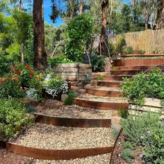 a garden with lots of plants and steps leading up to the top of each planter