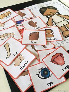 several cards with pictures of different body parts and words on them, including an eye