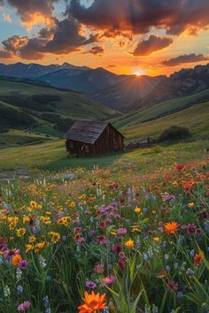 the sun is setting over a field with wildflowers and mountains in the background