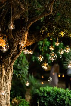 an outdoor area with lights hanging from the tree and people in the background walking down the path